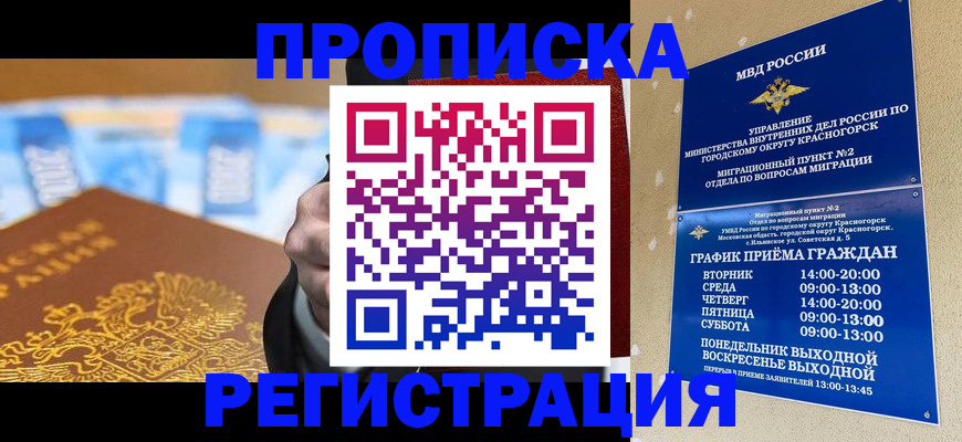 прописка гарантия в Бийске